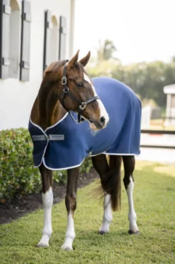Abschwitzdecke Amigo Jersey Cooler, Jerseydecke, Transportdecke