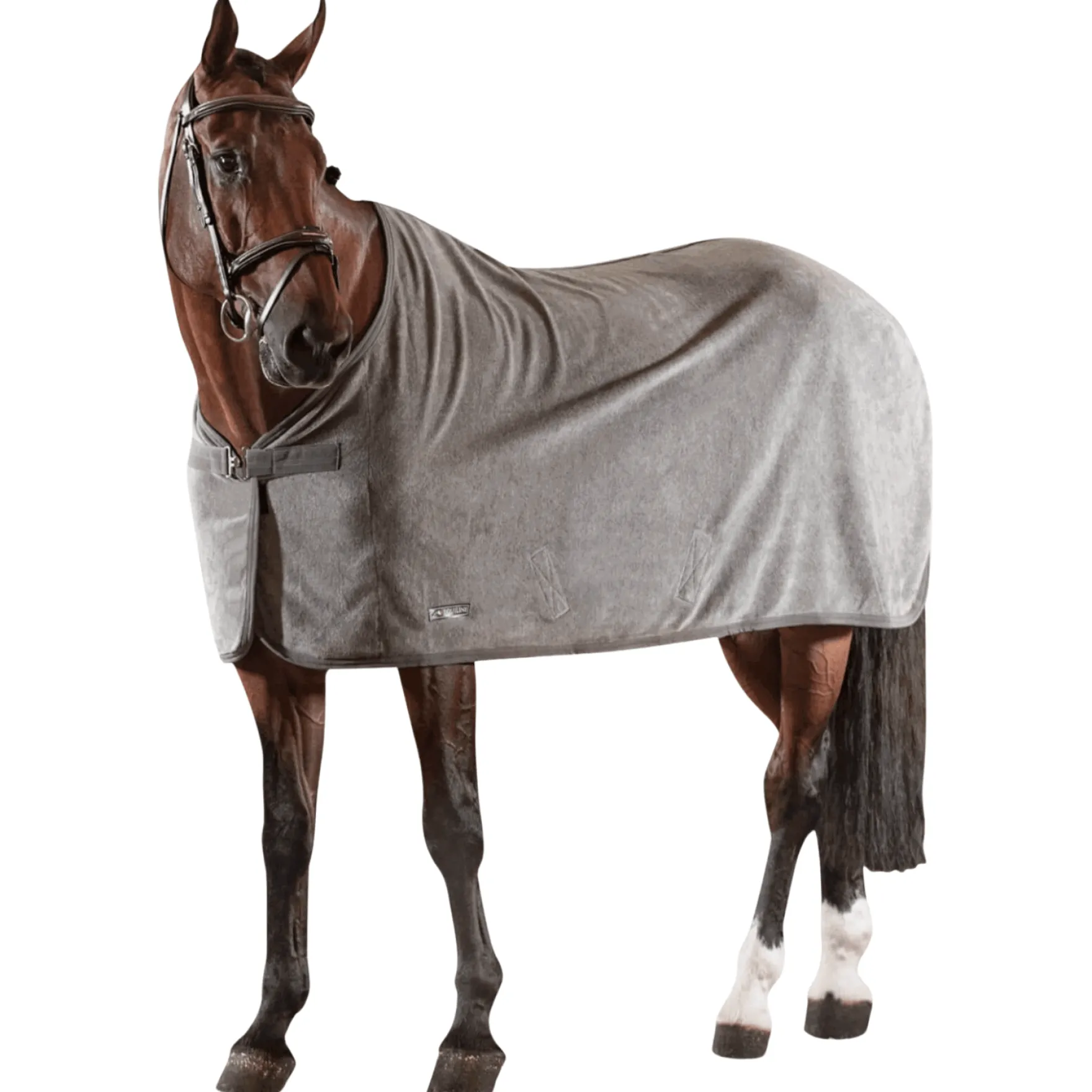 Abschwitzdecke Hugo, Fleecedecke