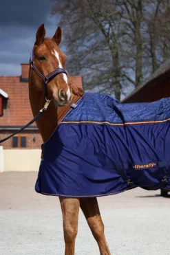 Abschwitzdecke Therapy Cooler, Magnetfelddecke, Big Neck