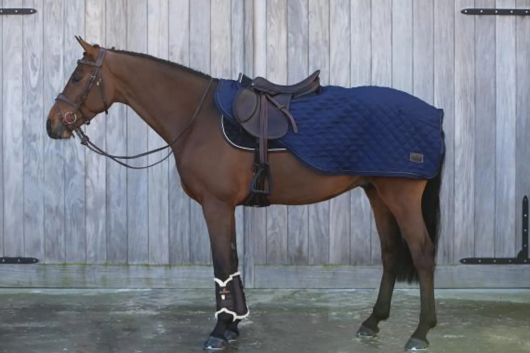 Ausreitdecke Riding Rug, 160 g