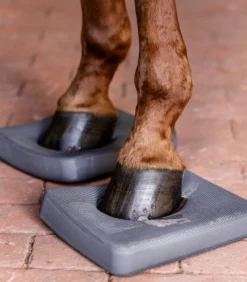 Balance Pads