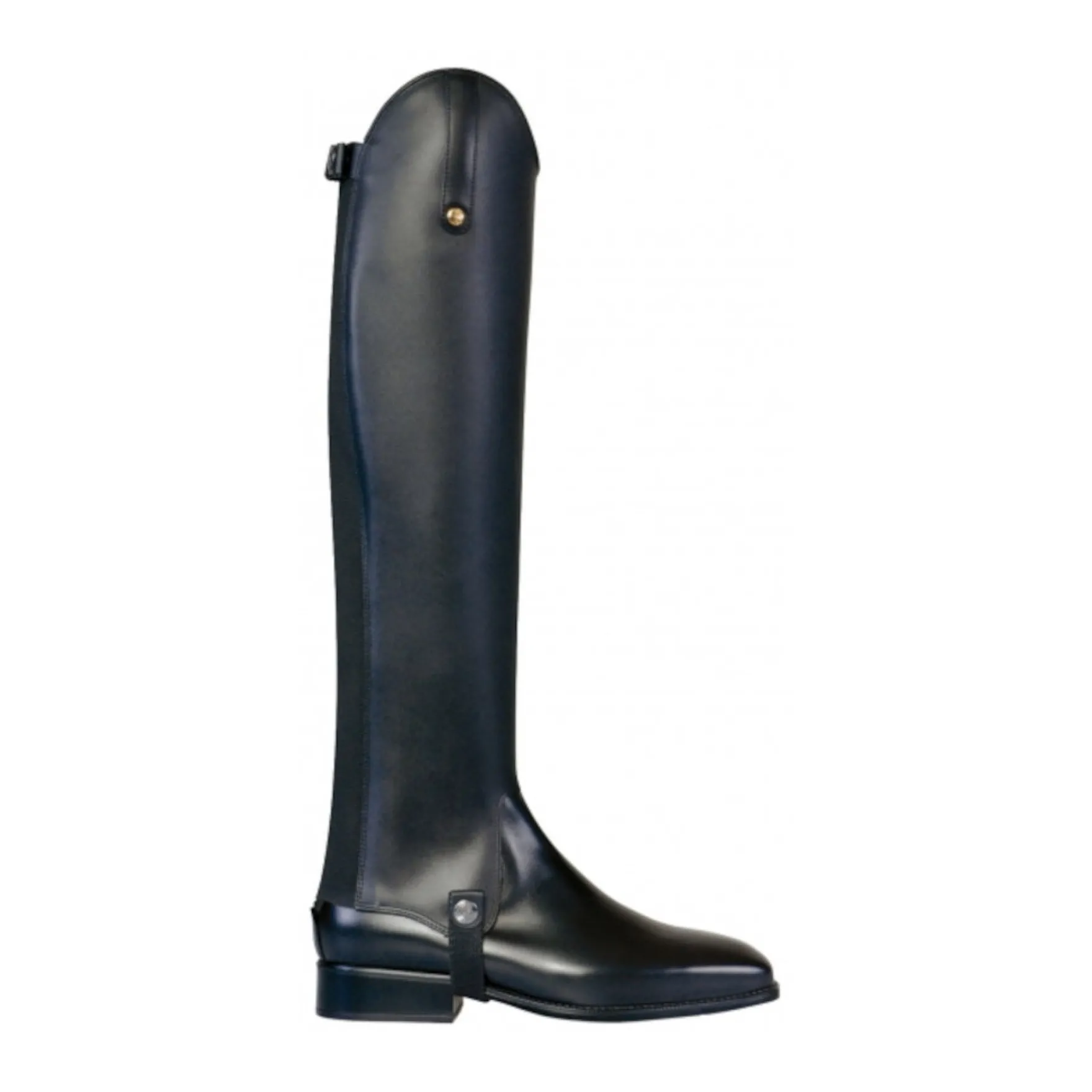 Chaps Torino, Lederchaps, Reitchaps, Damen, Herren
