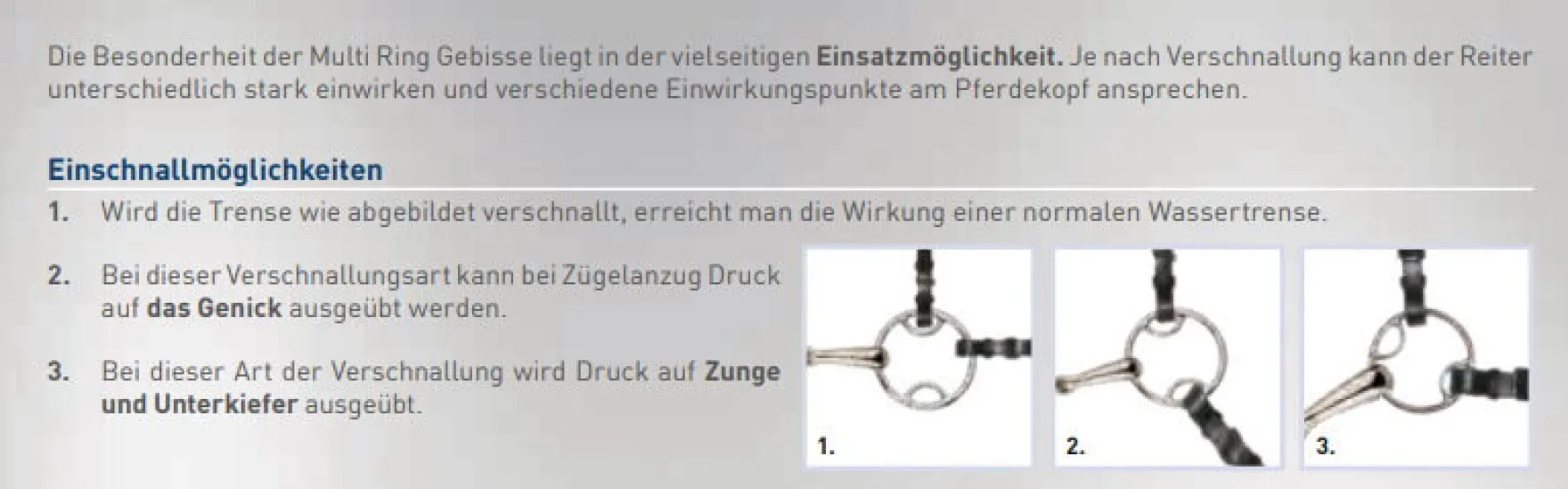 Dynamic RS Multi Ring, einfach gebrochen