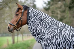 Ekzemerdecke Zebra, mit Halsteil, mit Bauchlatz, Fliegendecke