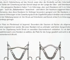 FC-Spezialkandare, Edelstahl