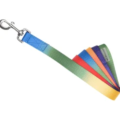 Führleine Regenbogen, Karabinerhaken