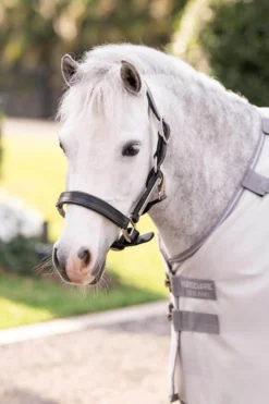 Fliegendecke Amigo Bug Rug Pony, mit UV-Schutz