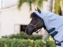 Fliegendecke Amigo Ripstop Petite Hoody, Shettydecke, mit festem Halsteil