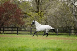 Fliegendecke Arika Armour-Tek Fly Rug, inkl. abnehmbarem Halsteil
