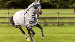 Fliegendecke Kudos Gladiator Fly Rug, mit Halsteil