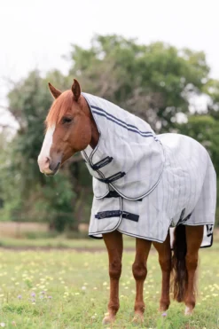 Fliegendecke Newmarket Quarter Horse Plus HW26, mit abnehmbarem Halsteil