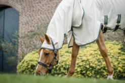 Fliegendecke Rambo Pony Hoody, mit Halsteil, UV-Schutz