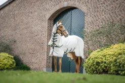 Fliegendecke Rambo Pony Hoody, mit Halsteil, UV-Schutz