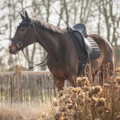 Fliegenhaube Salerno, Fliegenmütze, Fliegenohren