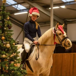 Fliegenhaube Weihnachtsmütze Pferd