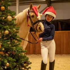Fliegenhaube Weihnachtsmütze Pferd