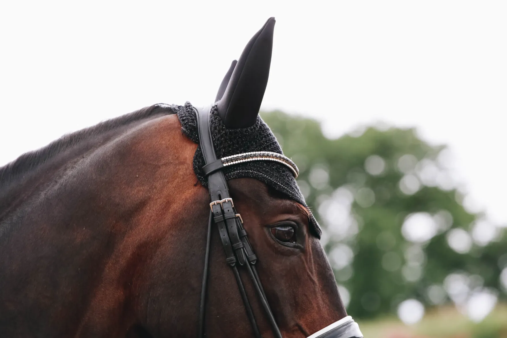 Fliegenhaube Wellington Sparkling, Fliegenmütze, Fliegenohren, glitzer