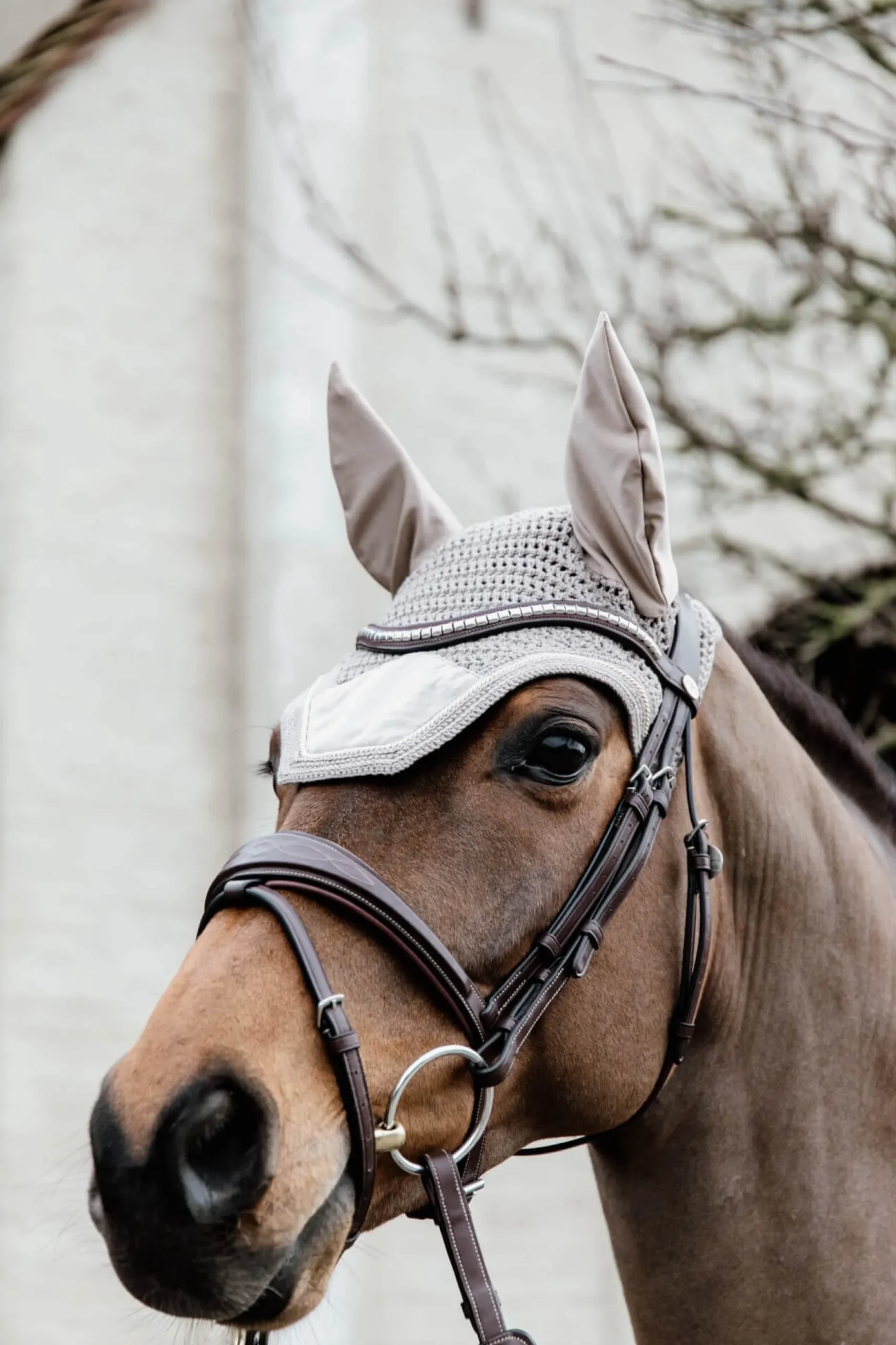 Fliegenhaube Wellington Velvet