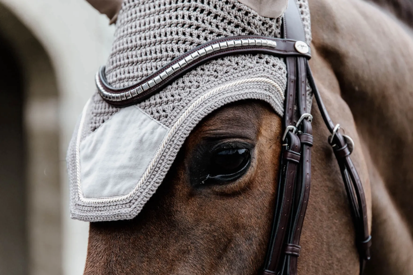 Fliegenhaube Wellington Velvet