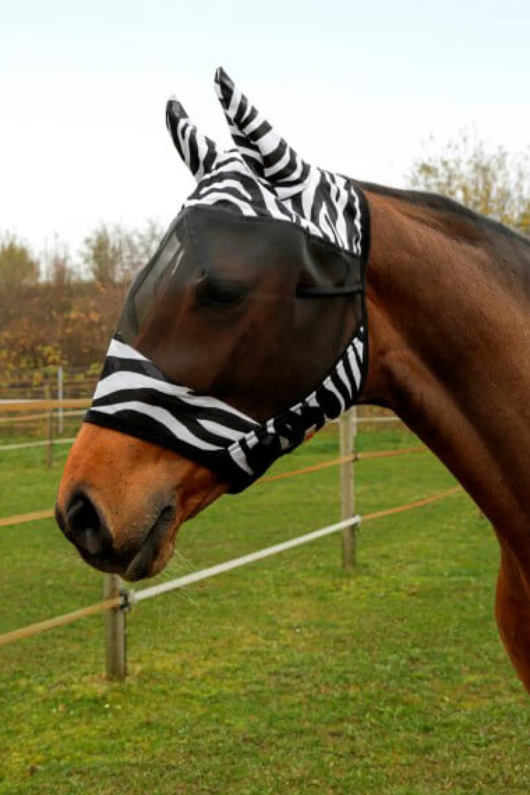 Fliegenmaske Zebra mit Ohrenschutz