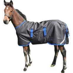 Fohlendecke Amigo Ripstop 900D Foal Turnout, 200 g, Outdoordecke
