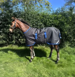 Fohlendecke Amigo Ripstop 900D Foal Turnout, 200 g, Outdoordecke