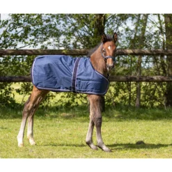 Fohlendecke Turnout, 100 g