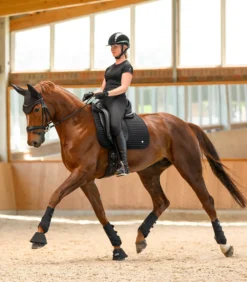 Gamaschen Air Performance, Fesselkopfgamaschen, Dressurgamaschen