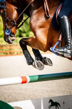 Gamaschen Classic FS26, Springgamaschen, Hartschalengamaschen