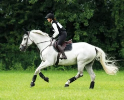 Gamaschen Eventing Technical, Arbeitsgamasche, hinten