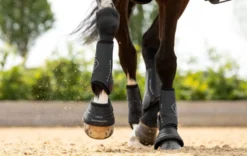 Gamaschen MotionFlex Dressage Boot, Dressurgamaschen