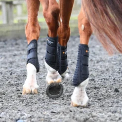 Gamaschen Stretch and Flex Flatwork, Dressurgamaschen