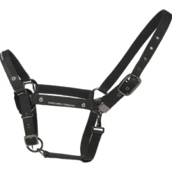 Halfter Adjustable Nylon HW21, Nylonhalfter