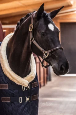 Halfter Anatomic Leather Halter, Lederhalfter