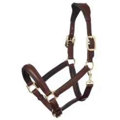 Halfter Anatomic Leather Headcollar, Lederhalfter