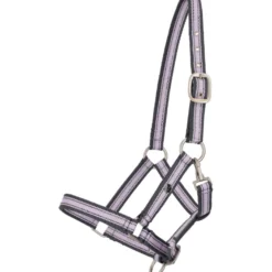 Halfter Collection FS26, Fohlenhalfter