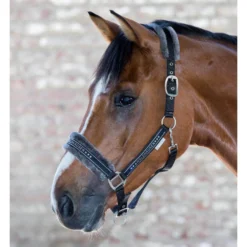 Halfter Elegant, Kunstfellhalfter