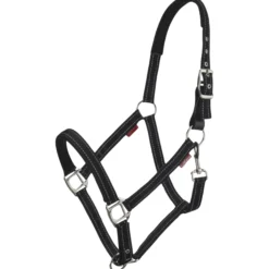 Halfter Essential Yard, Nylonhalfter