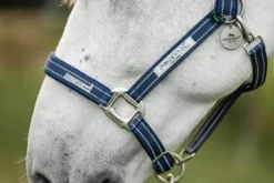Halfter Field Safe, Weidehalfter, Nylonhalfter, mit Sollbruchstelle