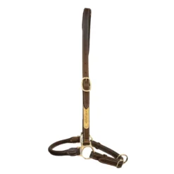Halfter Grooming Halter