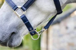 Halfter Grooming, Nylonhalfter