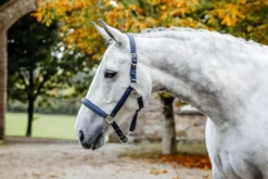 Halfter Grooming, Nylonhalfter