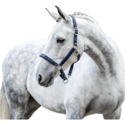 Halfter Grooming, Nylonhalfter