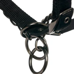 Halfter Headcollar ProSafe, mit Führkette