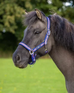 Halfter Icelandic, Nylonhalfter
