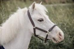 Halfter, Lederhalfter, Kunstfell, Ponyhalfter, Shettyhalfter