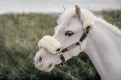 Halfter, Lederhalfter, Kunstfell, Ponyhalfter, Shettyhalfter