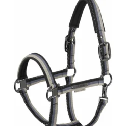 Halfter Lightweight Double Pin Platinum HW26