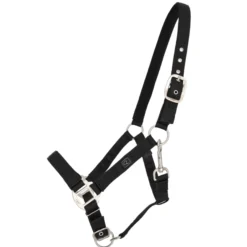 Halfter, Nylonhalfter, mit Polsterung
