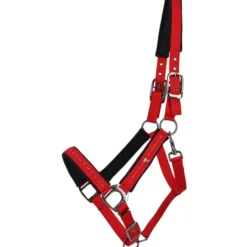 Halfter Oakleigh FS26, Nylonhalfter